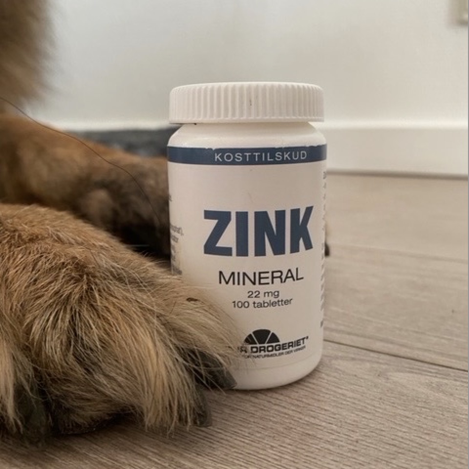 ZINK TABLETTER 100 stk til både hunde og andre celler