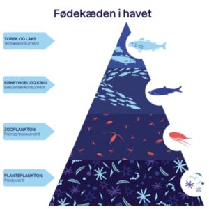 Fødekæden ved Zooca